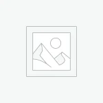 RFR901 Universal (Sans Fil)